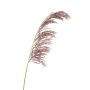 Artificial branch Pampas grass SGARLAD, old violet, 4ft/125cm