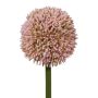 Decorative flower Allium MENKES, pink, 26"/65cm