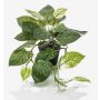 Artificial scindapsus pictus TREVA, green-white, 22"/55cm