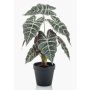 Artificial Alocasia Sanderiana UTHER, green-white, 16"/40cm