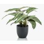 Artificial Calathea Zebrina VAIDA in decorative pot, green-white, 16"/40cm