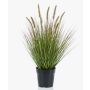 Fake pennisetum YWAIN with panicles, beige-green, 24"/60cm