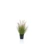 Fake pennisetum YWAIN with panicles, beige-green, 24"/60cm