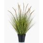 Fake pennisetum YWAIN with panicles, beige-green, 33"/85cm