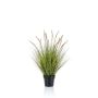 Fake pennisetum YWAIN with panicles, beige-green, 33"/85cm