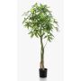 Artificial pachira HARUKI, artificial stems, 5ft/150cm