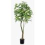 Artificial pachira HARUKI, artificial stems, 6ft/180cm