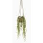 Artificial Hoya linearis hanging basket MIKI, terracotta pot, green, 33"/85cm