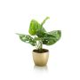 Artificial Philodendron Monstera Deliciosa PUYA, golden ceramic pot, 12"/30cm