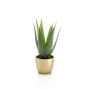 Artificial Aloe variegata MARTINEZ, golden ceramic pot, green, 10"/25cm, Ø6.7"/17cm