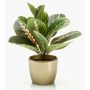Artificial arrowroot SITULA in golden ceramic pot, green-red, 12"/30cm