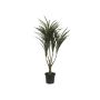 Artificial Dracaena Reflexa TABIVO, artificial stem, green-red, 3ft/90cm