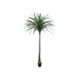 Artificial Dracaena Reflexa TABIVO, artificial trunk, green, 7ft/220cm