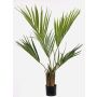 Artificial Kentia palm PAIGE, 3ft/105cm