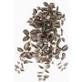 Artificial Tradescantia Zebrina KALANI, spike, flame retardant, green-white, 22"/55cm