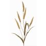 Artificial fountain grass HIWA, panicles, green, 4ft/135cm