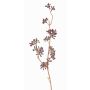 Plastic eucalyptus spray SOHA with fruits, brown, 24"/60cm