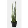 Artificial Sansevieria Cylindrica AIDANA, green-yellow, 26"/65cm