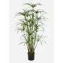 Artificial plant Papyrus ALBY, green, 4ft/125cm