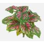 Artificial caladium BECRUX on spike, green-pink, 14"/35cm
