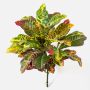 Plastic croton TAAVI on spike, multicoloured, 22"/55cm