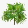 Artificial Washingtonia palm SCHEDIR on spike, 14"/35cm
