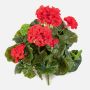 Artificial geranium CAPH on spike, red, 12"/30cm