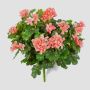 Artificial geranium KAISA on spike, light pink, 14"/35cm