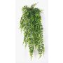 Fake button fern hanging plant PORRIMA on spike, green, 30"/75cm