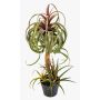 Artificial Tillandsia streptophylla ELGAFAR, green-red, 31"/80cm