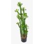 Artificial Euphorbia royleana GACRUX, green, 4ft/120cm