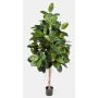 Artificial rubber tree DEVI, natural trunk, green, 5ft/140 cm
