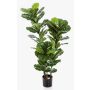 Artificial Ficus Lyrata GUDJA, artificial stems, green, 4ft/130cm