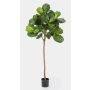 Fake Ficus Lyrata ADERITO, real stem, green, 7ft/200cm