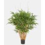 Artificial bamboo AFONSO, natural stems, 4ft/125cm