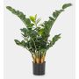 Artificial Zamioculcas Zamiifolia AKONO, 26"/65cm
