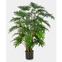 Fake Philodendron Selloum MERISSA, 3ft/100cm