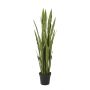 Artificial sansevieria ALEGRA, green, 5ft/150cm