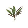 Artificial Calathea Makoyana WIDO on stick, green-burgundy, 28"/70 cm