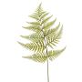 Western sword fern artificial leaf MBALI, green, 31"/80cm
