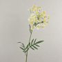 Artificial dill flower AMLA, cream-yellow, 28"/70 cm