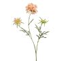 Artificial Scabiosa MARUA, peach, 31"/80 cm