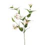 Artificial Gloriosa WARIS pink-cream, 4ft/120 cm