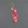 Silk Delphinium SETSUKO, pink-fuchsia, 3ft/95 cm