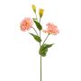 Artificial Lisianthus PHAM, peach, 24"/60 cm