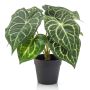Artificial anthurium TESHI, green-cream, 10"/25 cm