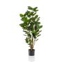 Artificial feather aralia FAUZIA, synthetic trunk, 3ft/105 cm