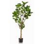 Artificial feather aralia FAUZIA, synthetic trunk, 5ft/150 cm