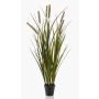 Artificial reedgrass ZWENA with panicles, green-yellow, 33"/85 cm