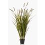 Artificial reedgrass ZWENA with panicles, green-yellow, 4ft/120 cm